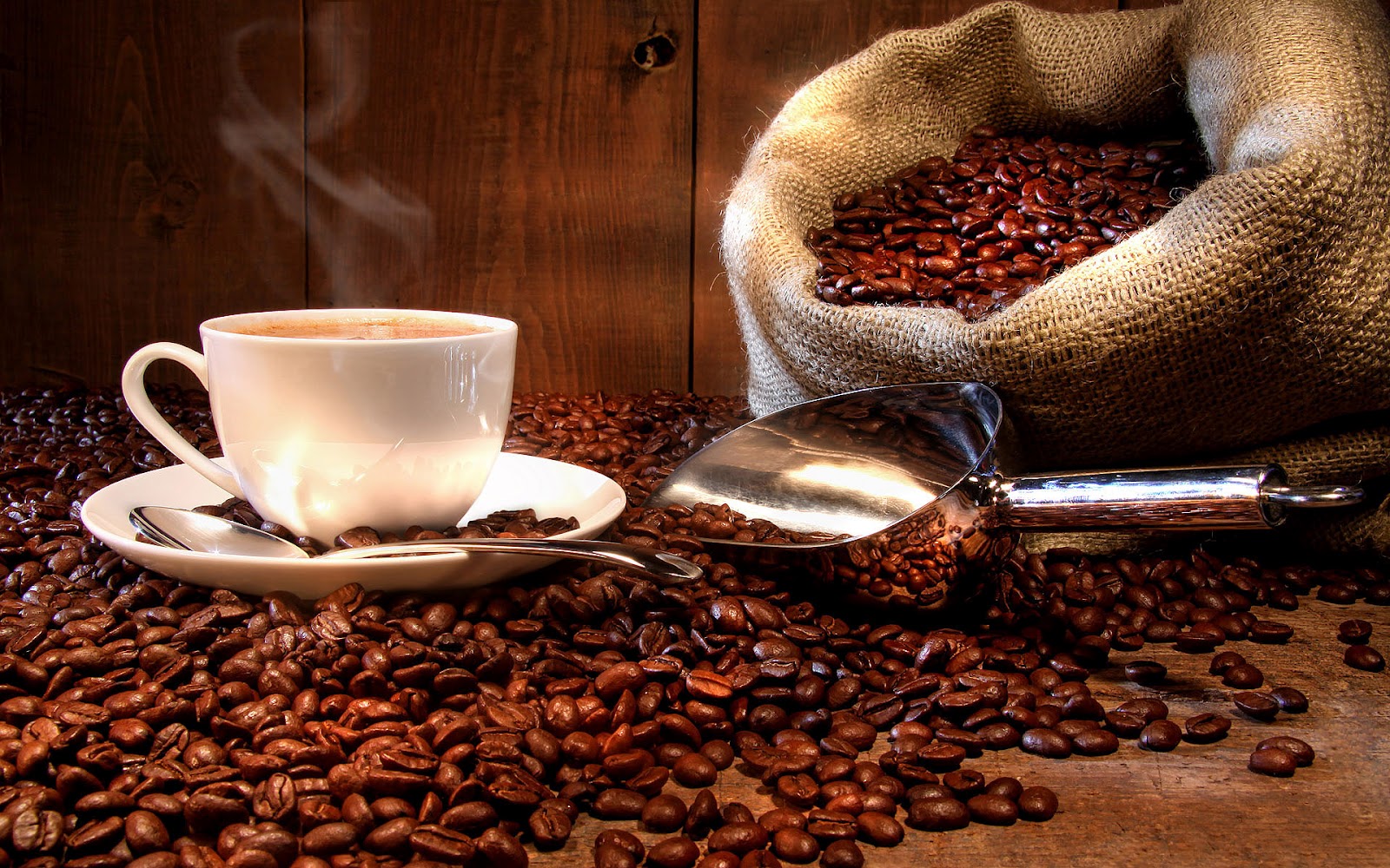 Tazzina di caffè fumante e chicchi di caffè tostati — la passione RoMimatic per la qualità